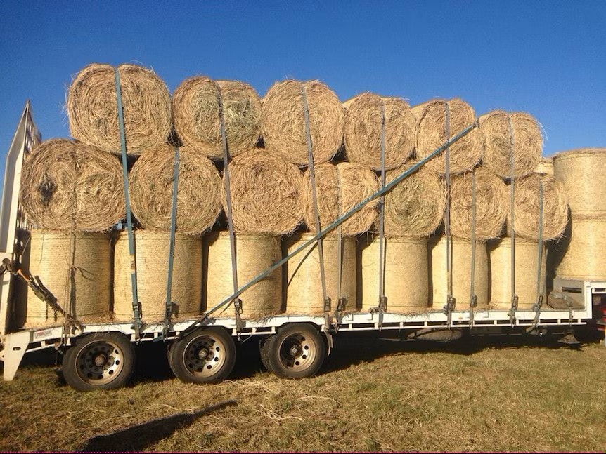 Load Restraint: Expert Tips for Bales, Bags & Sacks